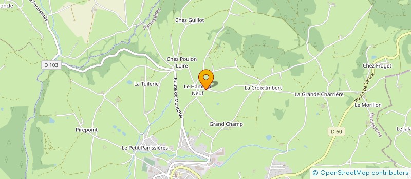 localisation de l'entreprise LIBERTINVEST  ROANNE