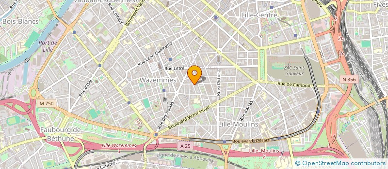 localisation de l'entreprise LIBERTY à LILLE