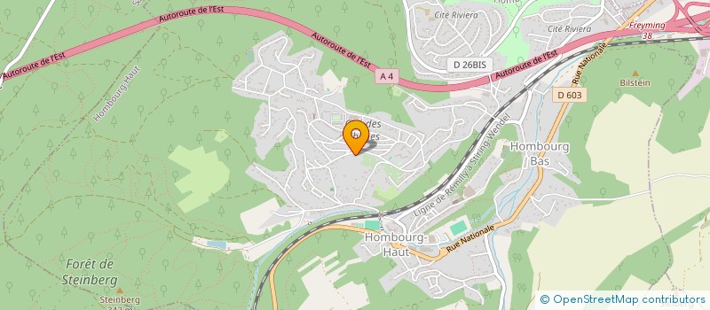 localisation de l'entreprise LIBERTYDAYS à HOMBOURG-HAUT