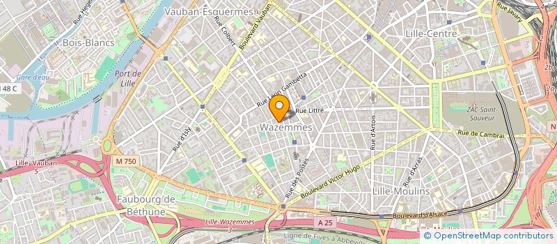 localisation de l'entreprise LIBRAIRIE DE WAZEMMES à LILLE
