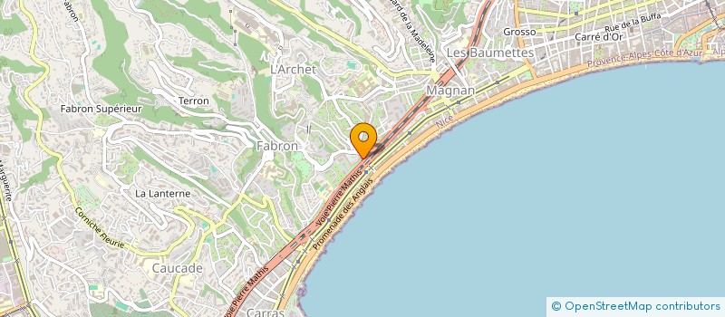 localisation de l'entreprise LIBRAIRIE DES GRANDS CEDRES à NICE