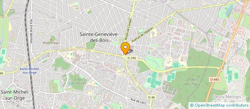localisation de l'entreprise LIBRAIRIE DU DONJON à SAINTE-GENEVIEVE-DES-BOIS
