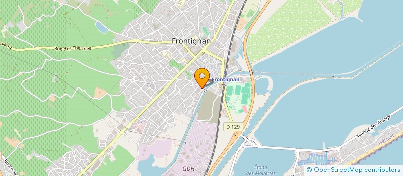 localisation de l'entreprise LIBRAIRIE LES CHAOSE DE LA VIE à FRONTIGNAN