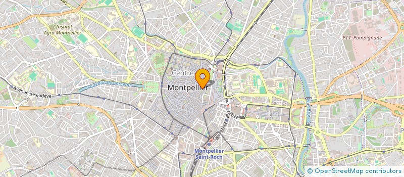 localisation de l'entreprise LIBRAIRIE SALAMANDRE EURL  MONTPELLIER