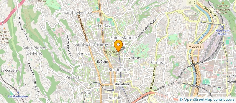 localisation de l'entreprise LIBRE SERVICE DE BORRIGLIONE à NICE