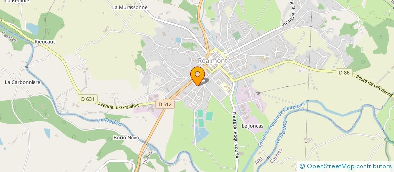 localisation de l'entreprise LICARON à REALMONT