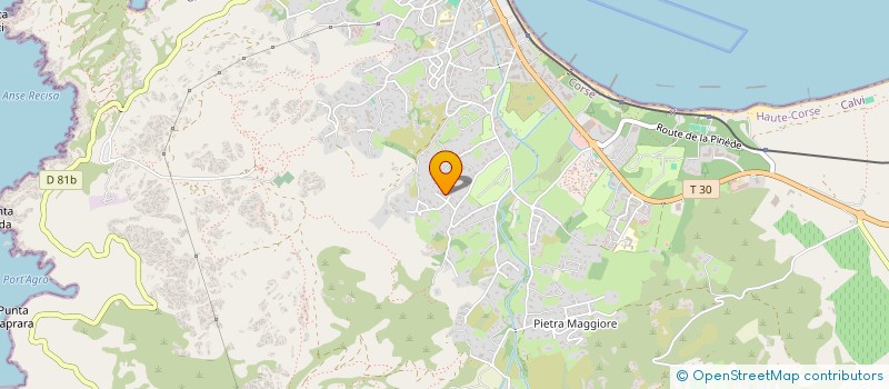 localisation de l'entreprise LICETTU à CALVI