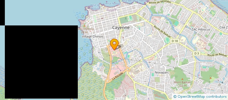 localisation de l'entreprise LICHEN  CAYENNE