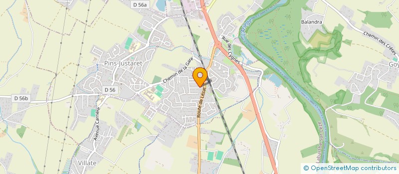 localisation de l'entreprise LIENDORFF EDITIONS CULTURELLES  PINS-JUSTARET