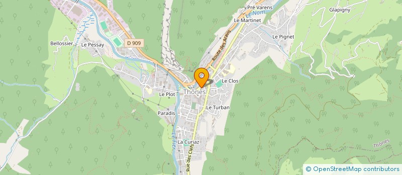 localisation de l'entreprise LIFE DISCOVERY  THONES