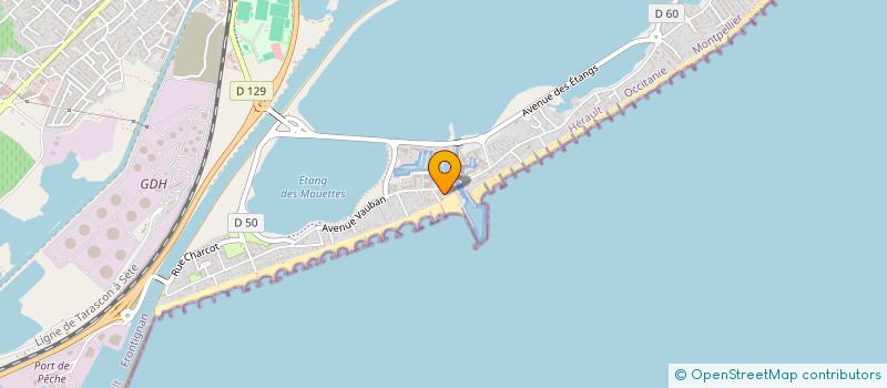 localisation de l'entreprise LIGN'SUD LOIRE à FRONTIGNAN