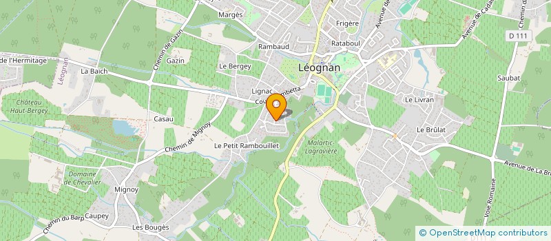 localisation de l'entreprise LIGNE DYS à LEOGNAN