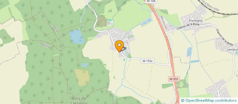 localisation de l'entreprise LIGNUM VITAE  CHESNY