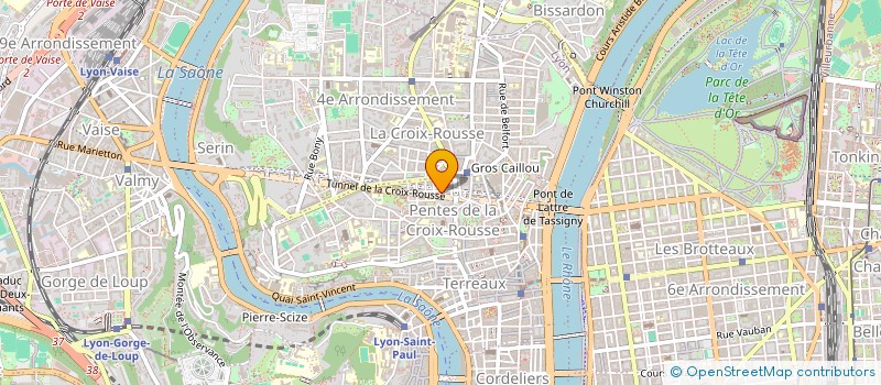 localisation de l'entreprise LIGUE DE BILLARD AUVERGNE-RHONE-ALPES à LYON