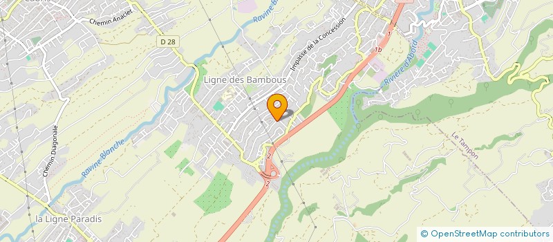 localisation de l'entreprise LIGUE DE FOOTBALL AMERICAIN DE LA REUNION  SAINT-PIERRE