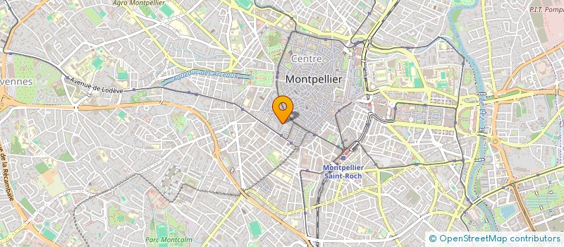 localisation de l'entreprise LIGUE INTERNATIONALE CONTRE LE RACISME ET L'ANTISEMITISME (L.I.C.R.A.) SECTION MONTPELLIER/HERAULT à MONTPELLIER