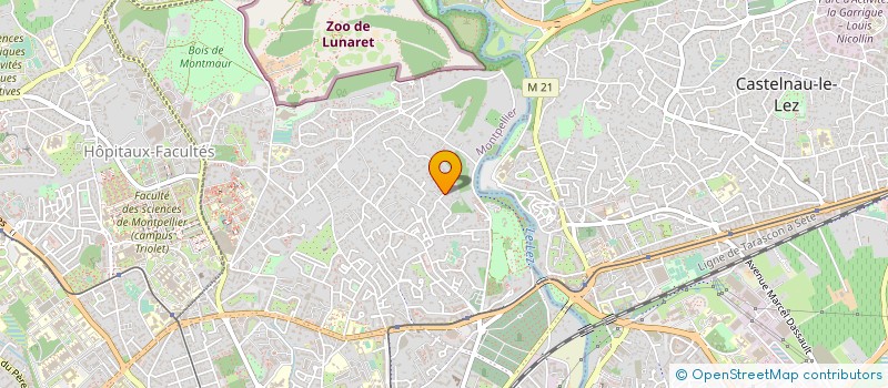 localisation de l'entreprise LIGUE LANGU ROUSS FEDER EQUESTRE FRANC à MONTPELLIER
