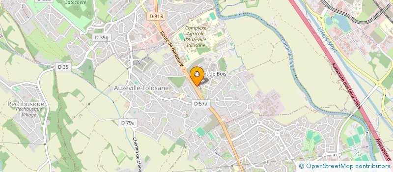 localisation de l'entreprise LIGUE OCCITANIE DE HANDBALL à AUZEVILLE-TOLOSANE