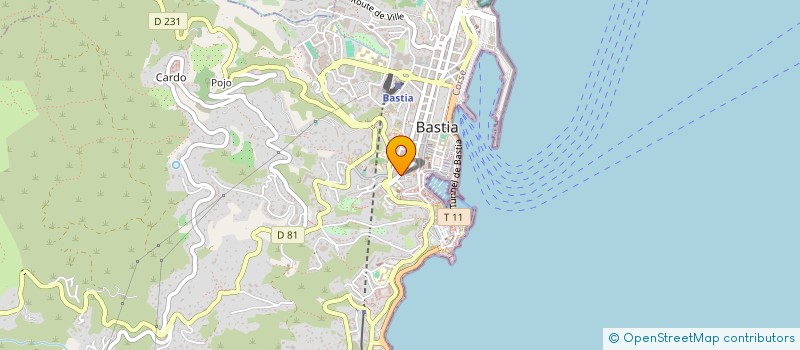 localisation de l'entreprise LIGUE REGIONALE CORSE DE LA FEDERATION FRANCAISE DE NATATION à BASTIA