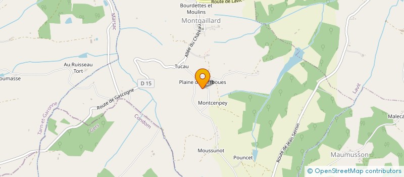 localisation de l'entreprise LIKE CONCEPT à MONTGAILLARD