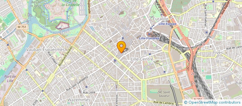 localisation de l'entreprise LILLE 55 à LILLE