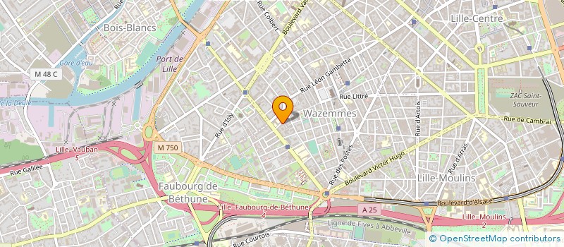 localisation de l'entreprise LILLE GO à LILLE