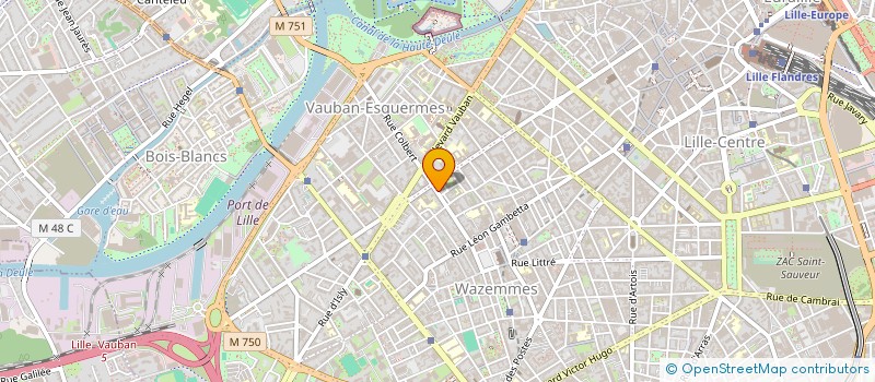 localisation de l'entreprise LILLE METROPOLE IMMOBILIER EN ABREGE LMI à LILLE
