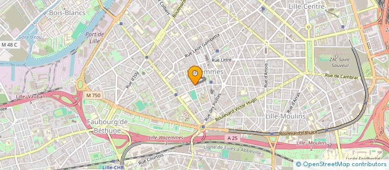 localisation de l'entreprise LILLE SPORTING CLUB WAZEMMES 91 à LILLE