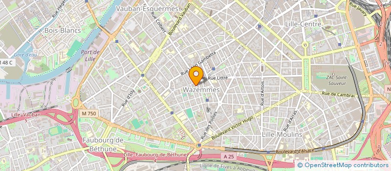 localisation de l'entreprise LILLE SPORTS à LILLE