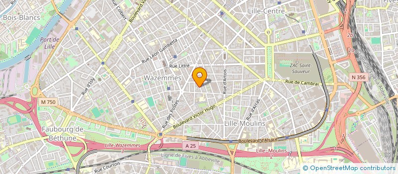 localisation de l'entreprise LILLE TRAVAUX DECO  LILLE