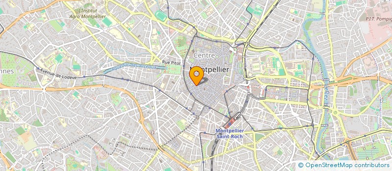 localisation de l'entreprise LILY CAKE à MONTPELLIER
