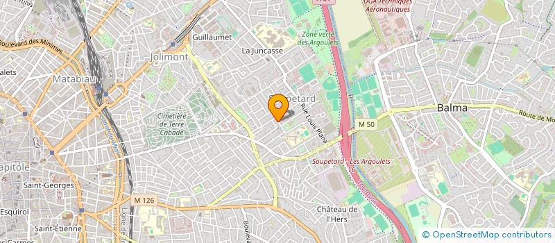 localisation de l'entreprise LINGONBERRY  TOULOUSE
