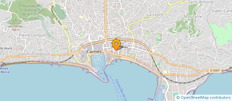 localisation de l'entreprise LION à CANNES