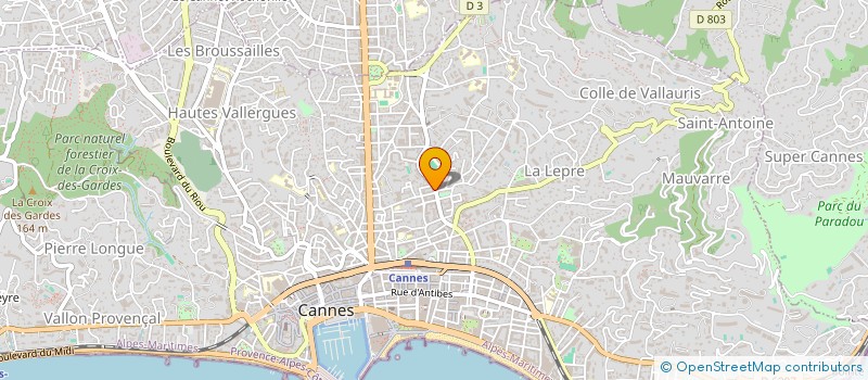 localisation de l'entreprise LION ROOTS RECOROS à CANNES