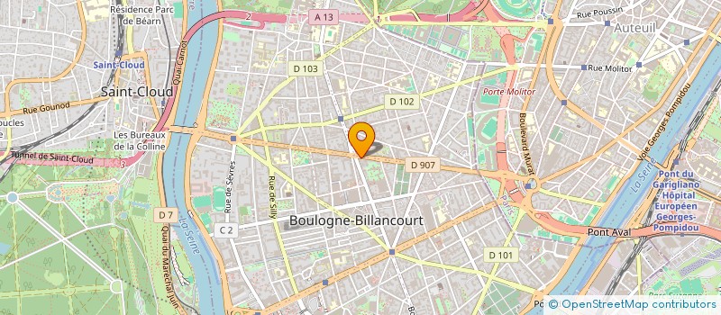 localisation de l'entreprise LION SERVICES  BOULOGNE-BILLANCOURT