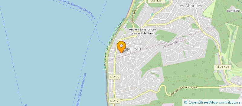 localisation de l'entreprise LIONS INT BASSIN ARCACHON MARIE REGNIER  ARCACHON