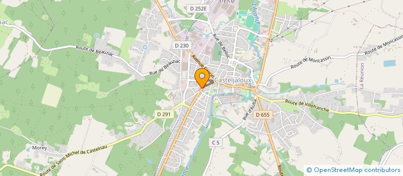 localisation de l'entreprise LIONSOLUTION  CASTELJALOUX