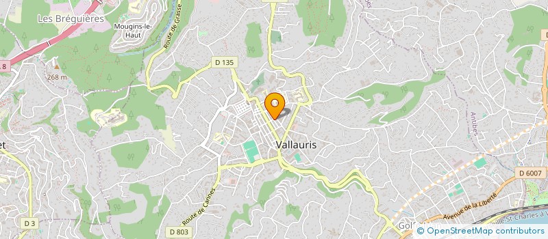 localisation de l'entreprise LIPRANDI MARIE FOGLIANI GERARD à VALLAURIS