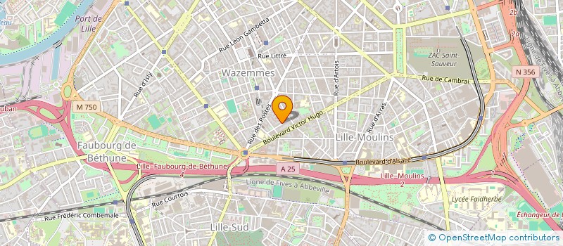 localisation de l'entreprise LIRE A LILLE à LILLE