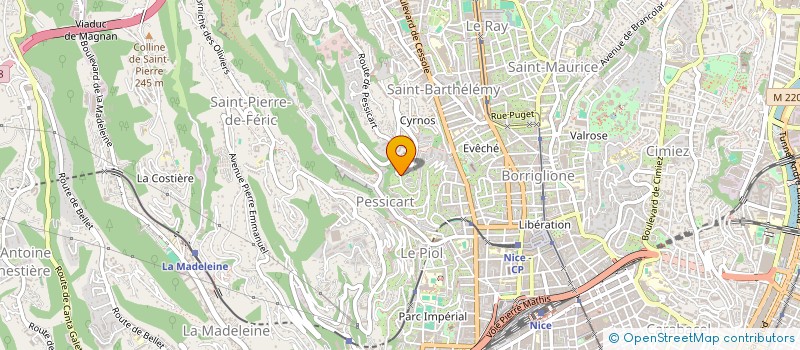 localisation de l'entreprise LIRO  NICE