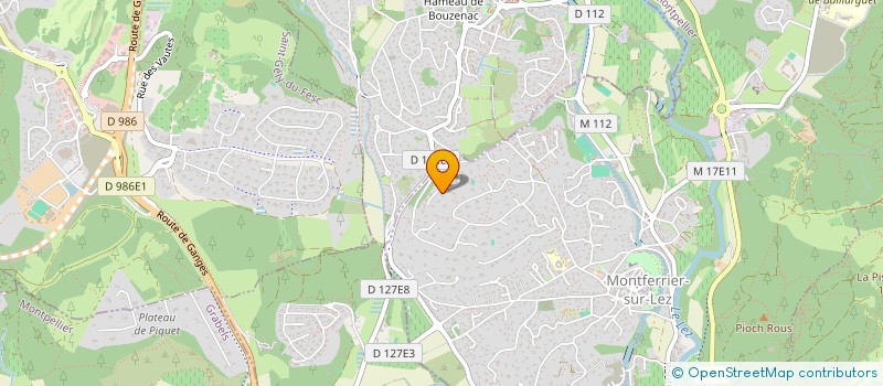 localisation de l'entreprise LIRONDE ET LEZ  MONTFERRIER-SUR-LEZ