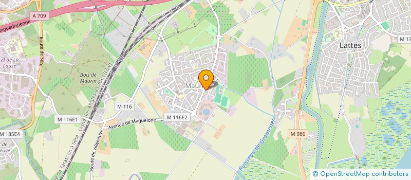 localisation de l'entreprise LISA  LATTES