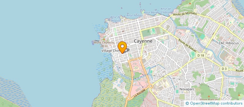 localisation de l'entreprise LISS BEAUTY à CAYENNE