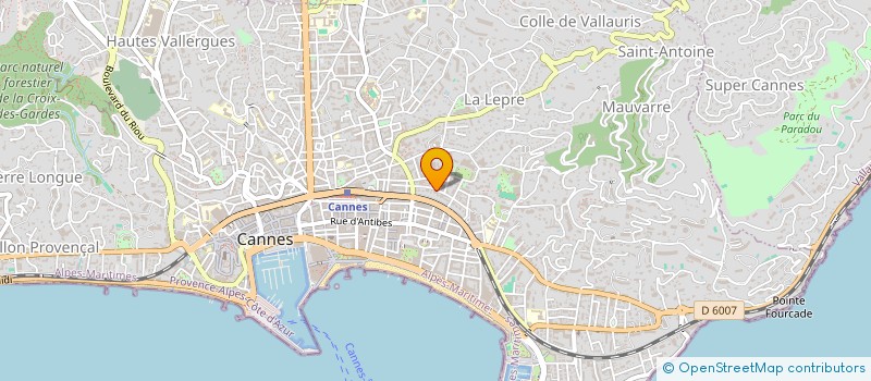 localisation de l'entreprise LITTLE ORCHARD à CANNES
