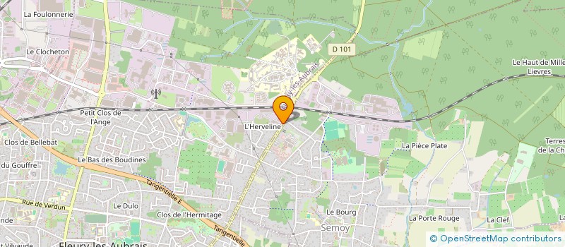 localisation de l'entreprise LIZ PERSO à FLEURY-LES-AUBRAIS