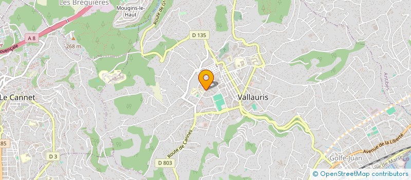 localisation de l'entreprise LJ2M à VALLAURIS