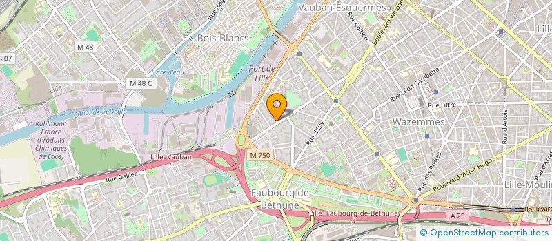 localisation de l'entreprise LLC (LUC LOUVET CONSULTING) à LILLE