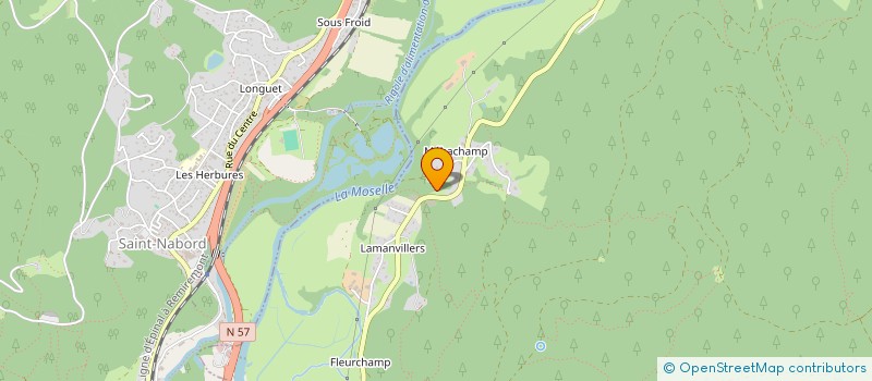 localisation de l'entreprise LM FLY PHOENIX  SAINT-ETIENNE-LES-REMIREMONT