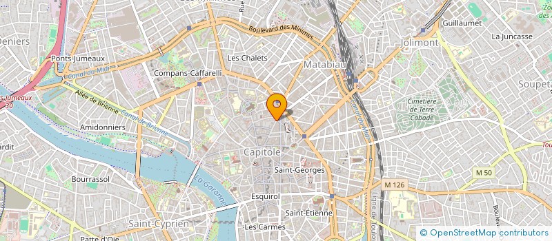 localisation de l'entreprise LM HOLDING  TOULOUSE