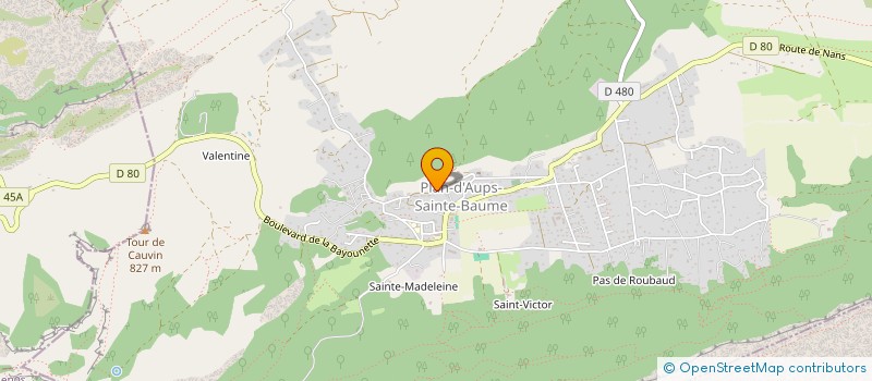 localisation de l'entreprise LM IMMO  PLAN-D'AUPS-SAINTE-BAUME